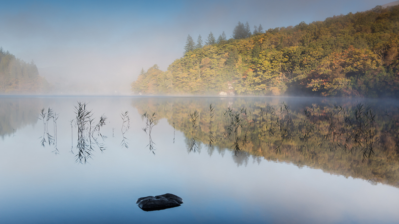 mist reeds and rock