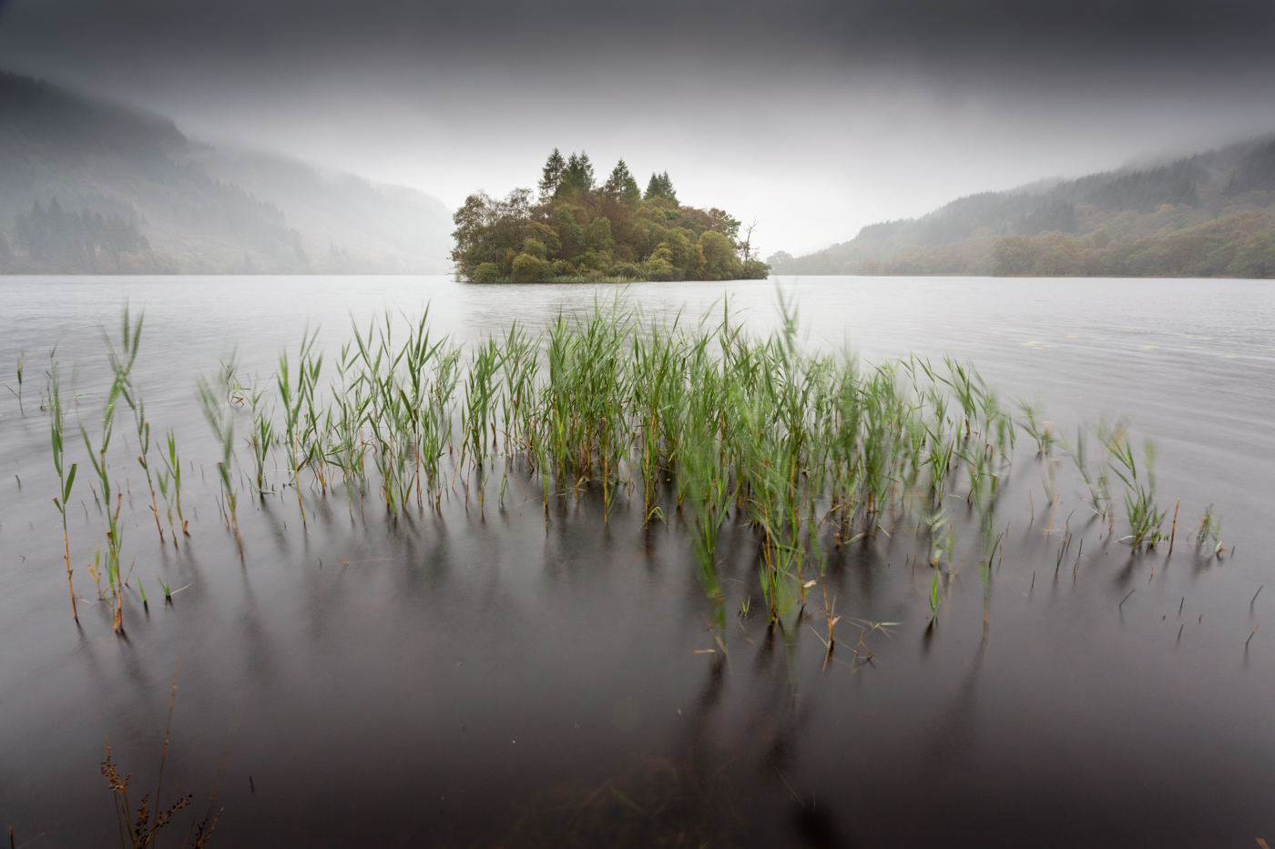 Loch Chon Rain and Reeds
