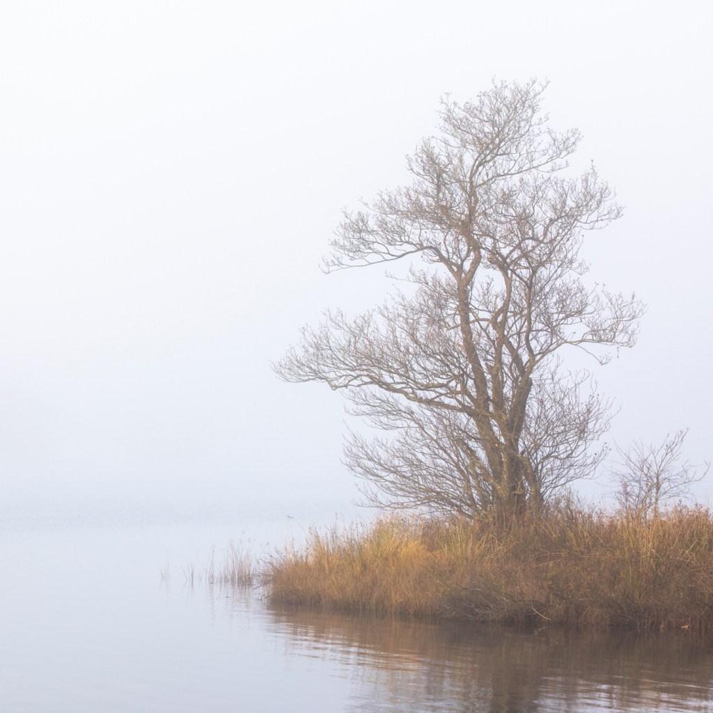Loch Chon Abstracts in the Fog.