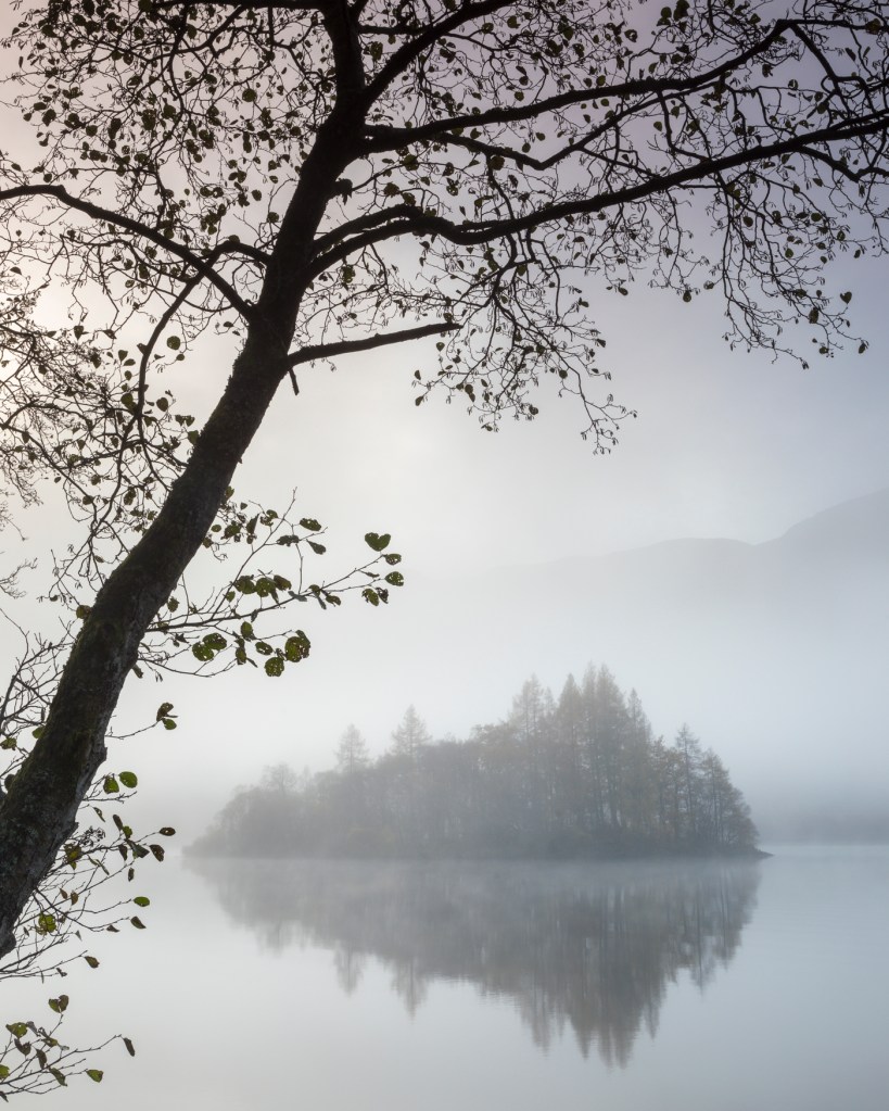 Loch Chon Abstracts in the Fog.Loch Chon Abstracts in the Fog.